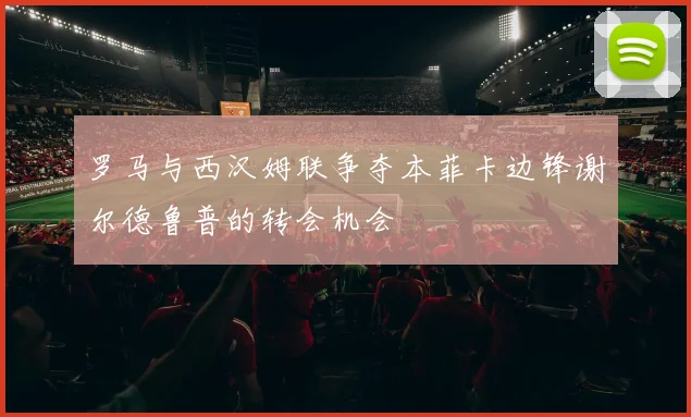 罗马与西汉姆联争夺本菲卡边锋谢尔德鲁普的转会机会
